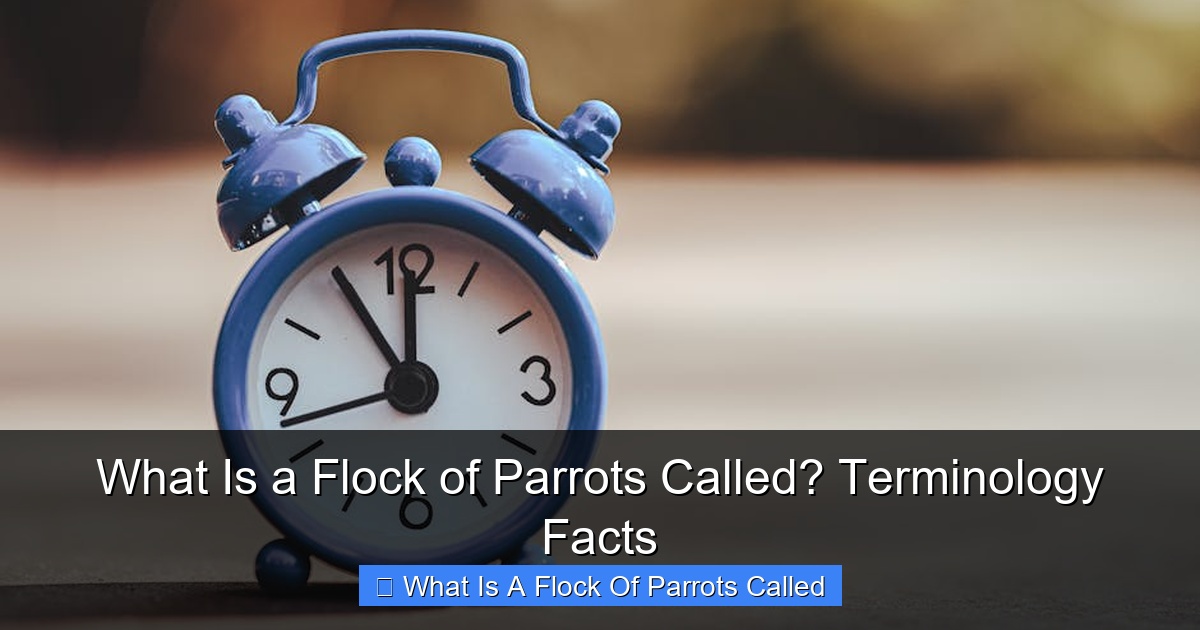 Featured image for What Is a Flock of Parrots Called? Terminology Facts