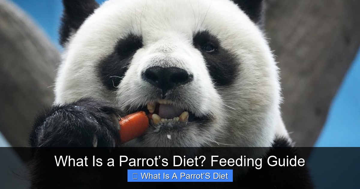 Featured image for What Is a Parrot’s Diet? Feeding Guide