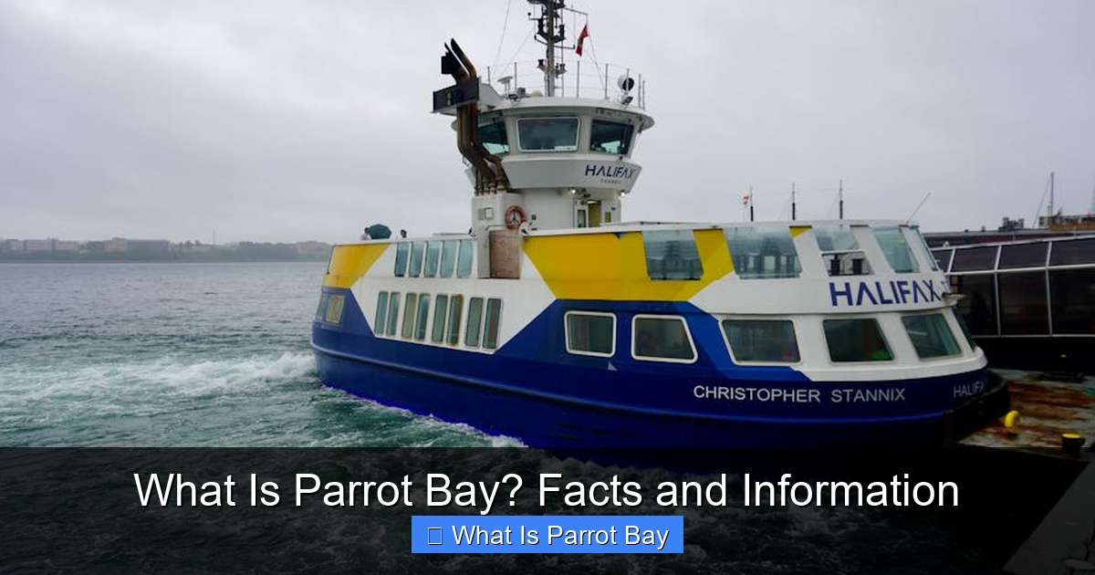 Featured image for What Is Parrot Bay? Facts and Information