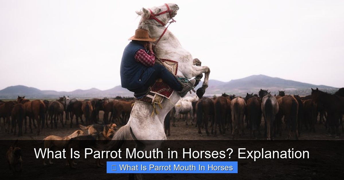 Featured image for What Is Parrot Mouth in Horses? Explanation
