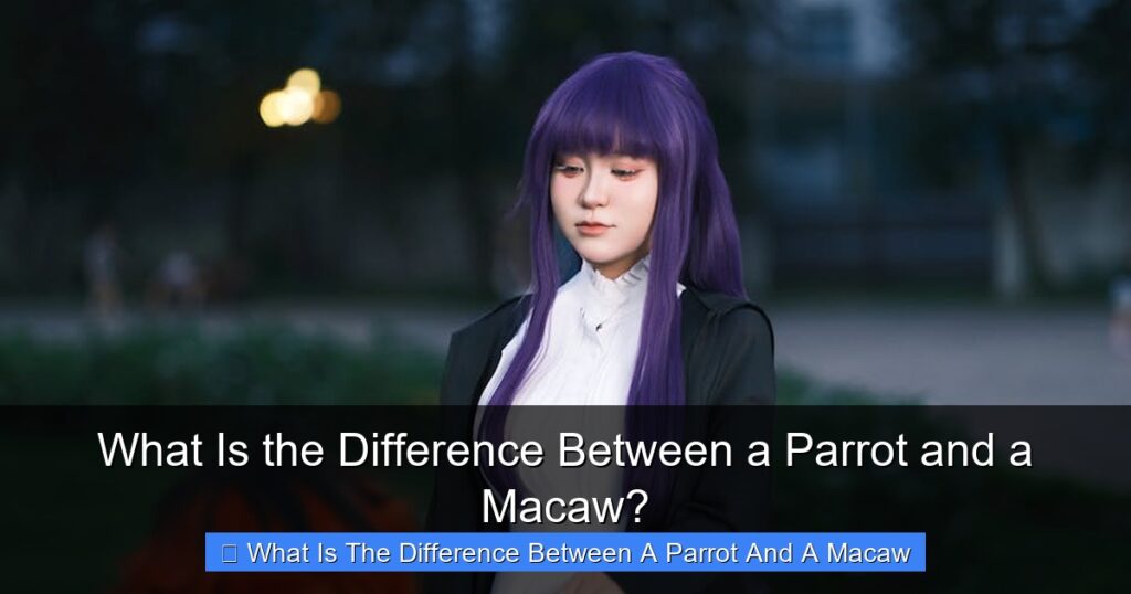 What Is the Difference Between a Parrot and a Macaw? - californiaflocks.org