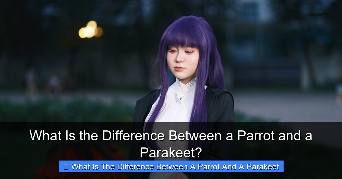 Featured image for What Is the Difference Between a Parrot and a Parakeet?