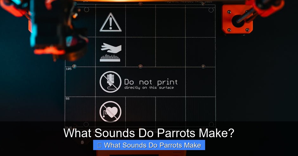 Featured image for What Sounds Do Parrots Make?