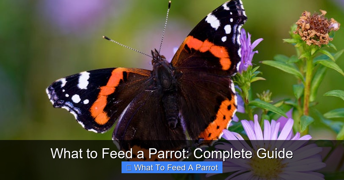 Featured image for What to Feed a Parrot: Complete Guide