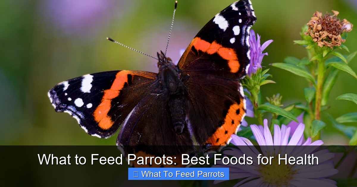 Featured image for What to Feed Parrots: Best Foods for Health