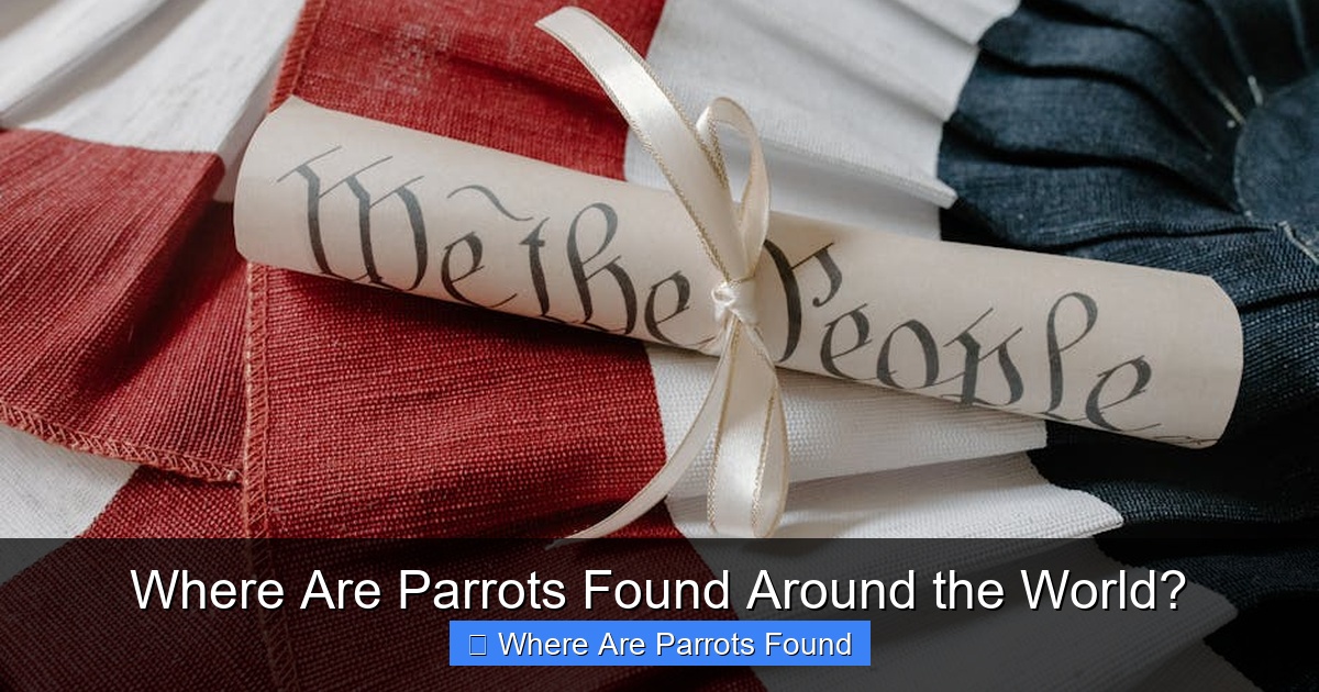 Featured image for Where Are Parrots Found Around the World?