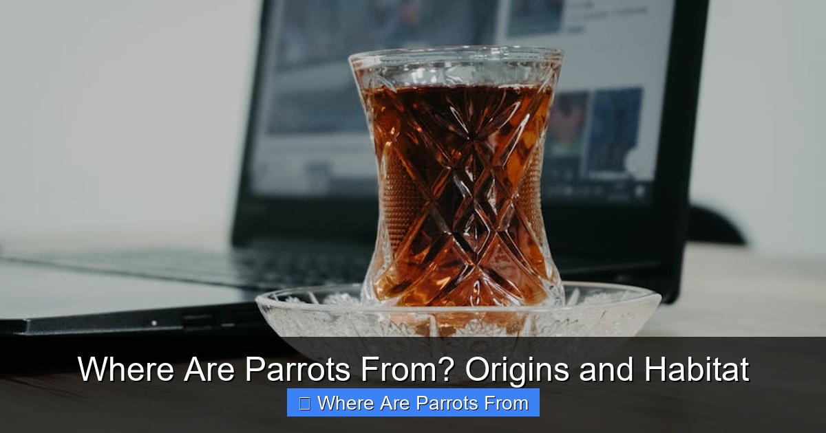 Featured image for Where Are Parrots From? Origins and Habitat