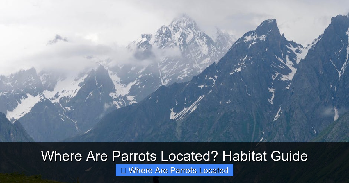 Featured image for Where Are Parrots Located? Habitat Guide