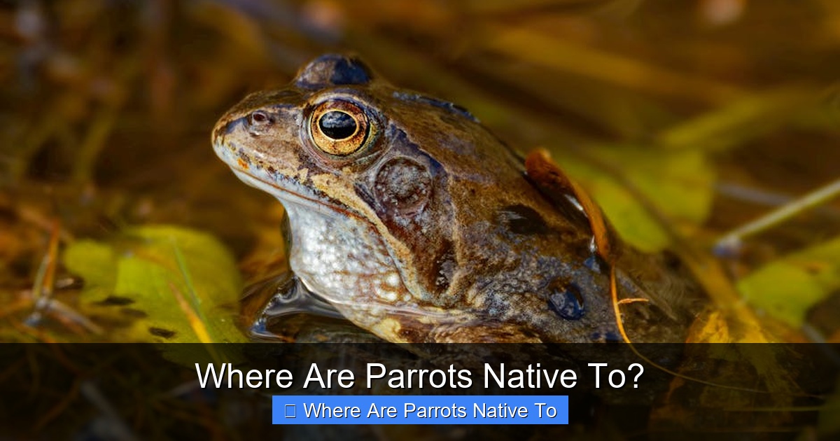 Featured image for Where Are Parrots Native To?