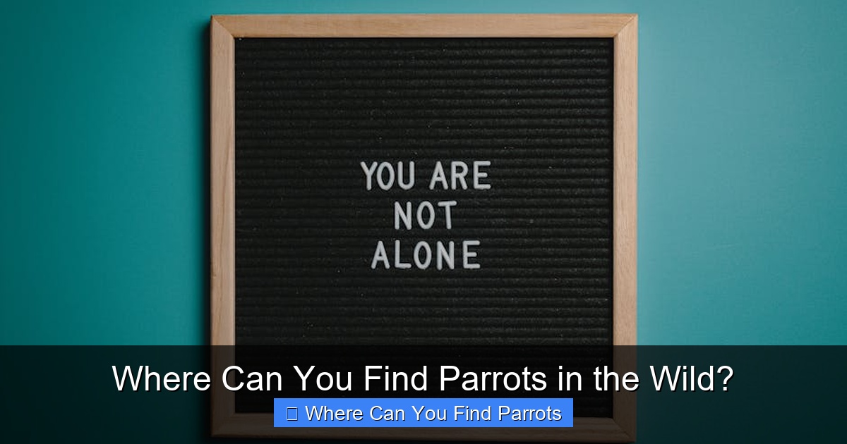 Featured image for Where Can You Find Parrots in the Wild?