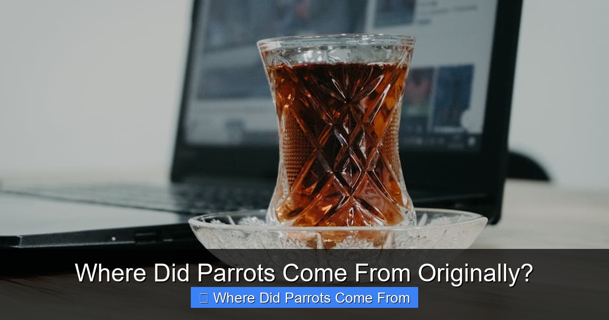 Featured image for Where Did Parrots Come From Originally?
