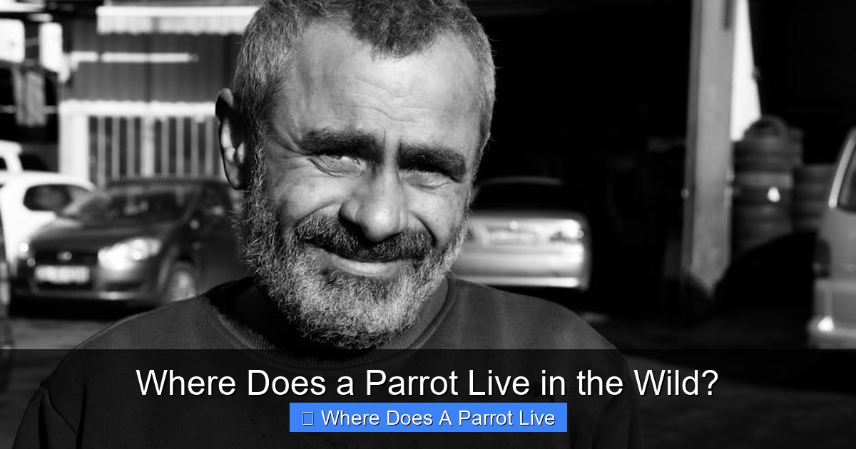 Featured image for Where Does a Parrot Live in the Wild?