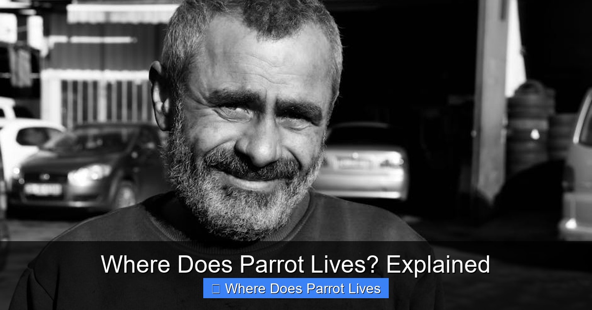 Featured image for Where Does Parrot Lives? Explained