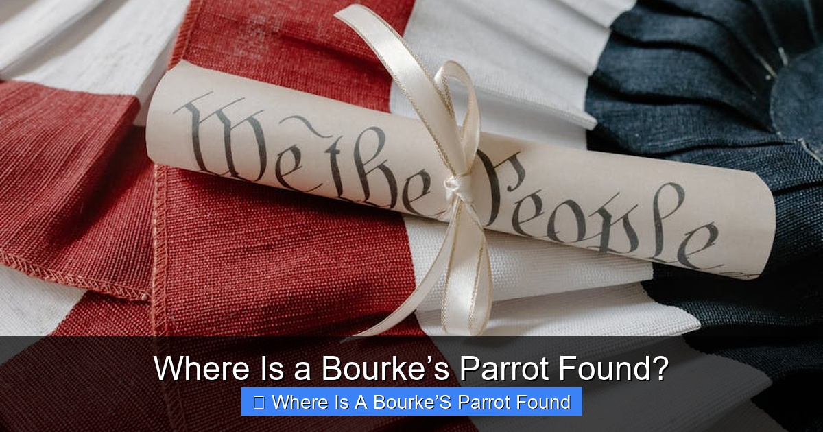 Featured image for Where Is a Bourke’s Parrot Found?