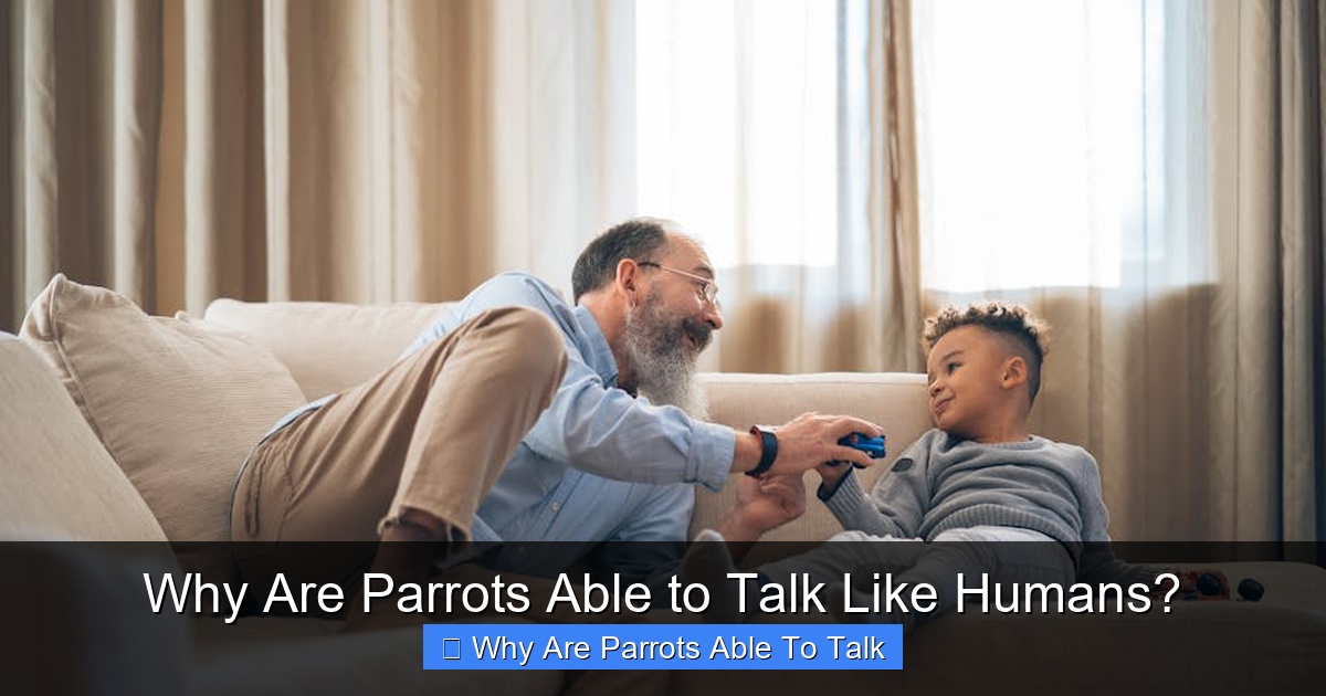 Why Are Parrots Able to Talk Like Humans?
