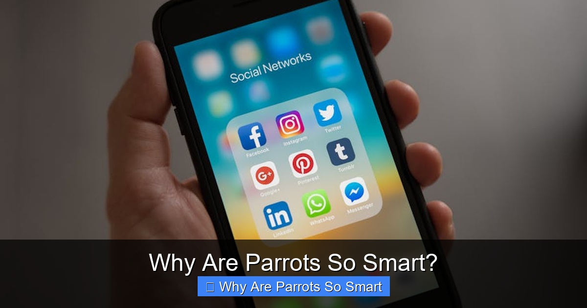 Why Are Parrots So Smart?