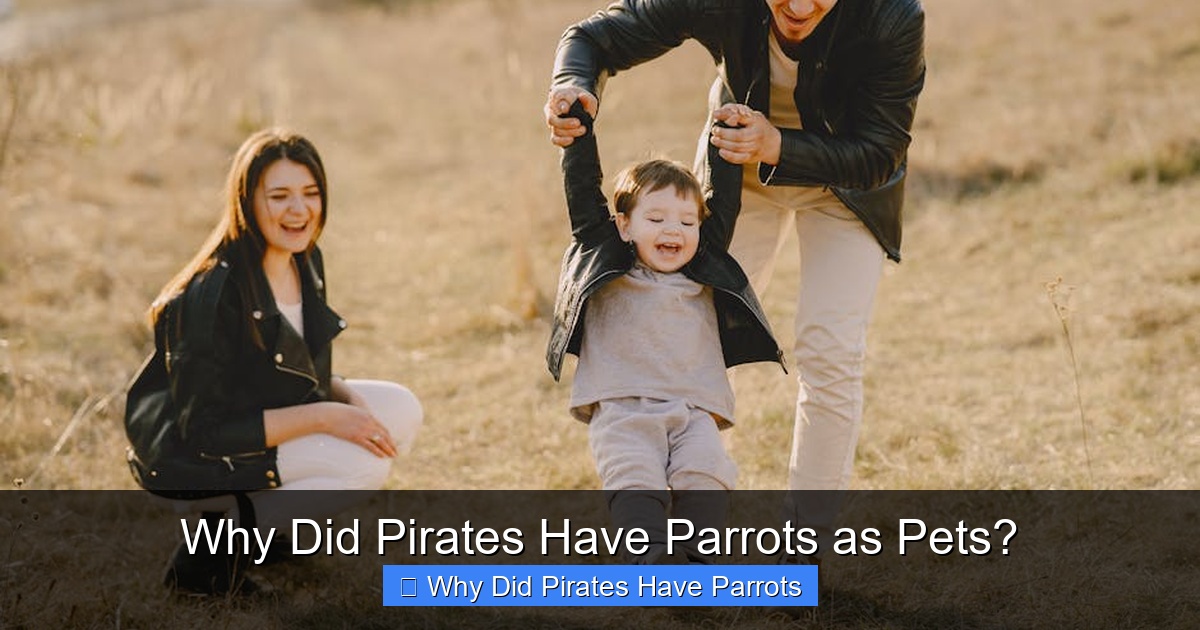 Why Did Pirates Have Parrots as Pets?