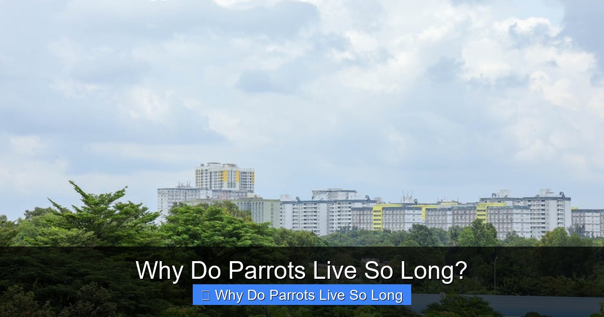 Why Do Parrots Live So Long?