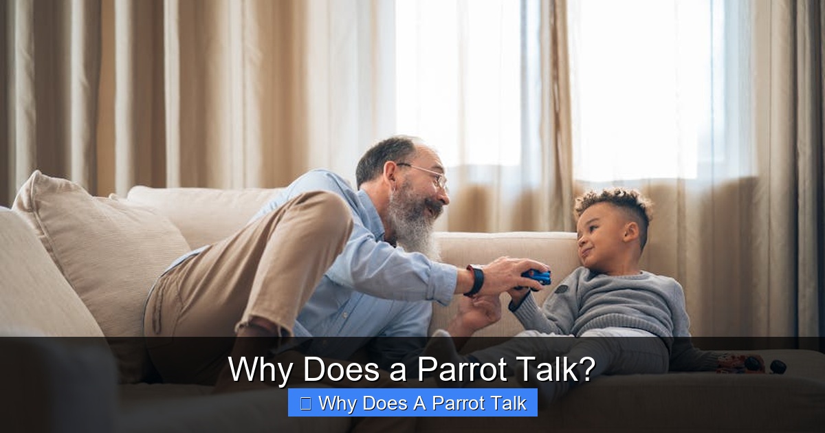 Why Does a Parrot Talk?