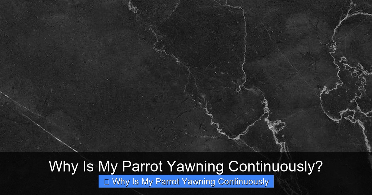 Why Is My Parrot Yawning Continuously?
