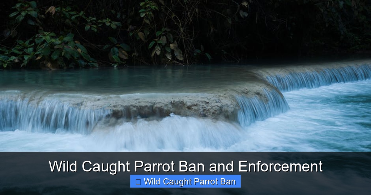 Featured image for Wild Caught Parrot Ban and Enforcement