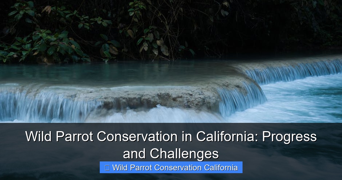 Featured image for Wild Parrot Conservation in California: Progress and Challenges