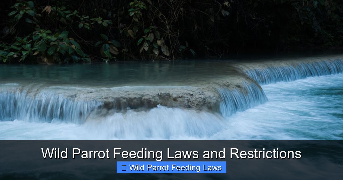 Featured image for Wild Parrot Feeding Laws and Restrictions