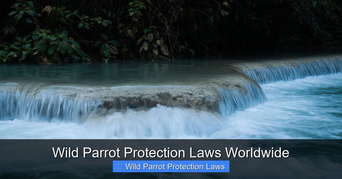Featured image for Wild Parrot Protection Laws Worldwide