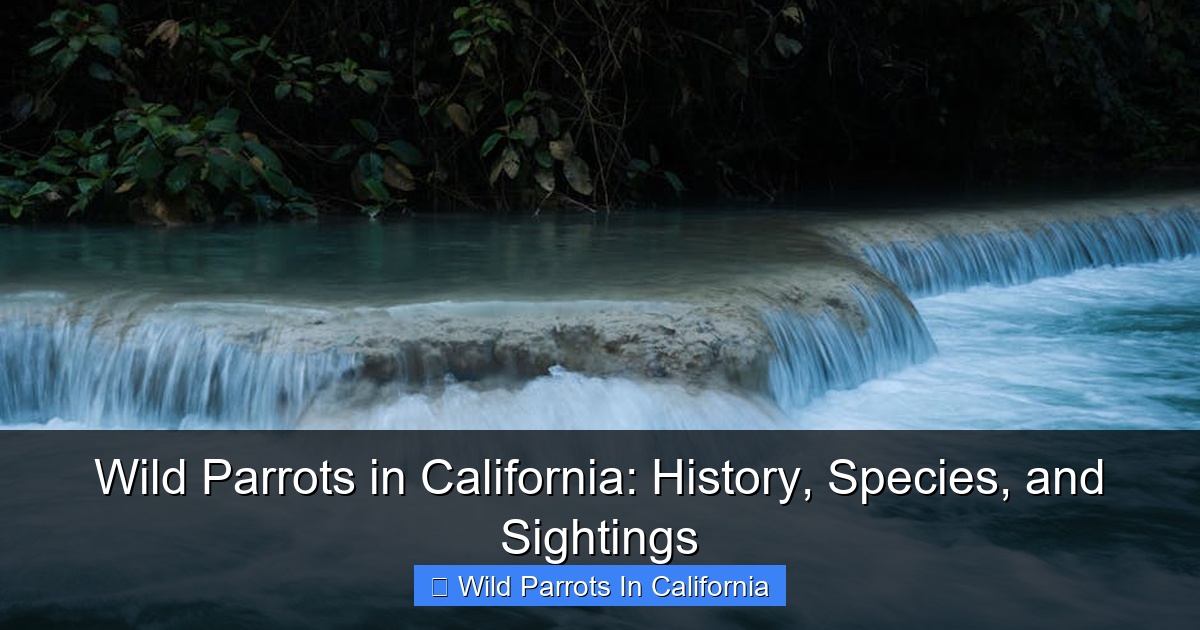 Wild Parrots in California: History, Species, and Sightings