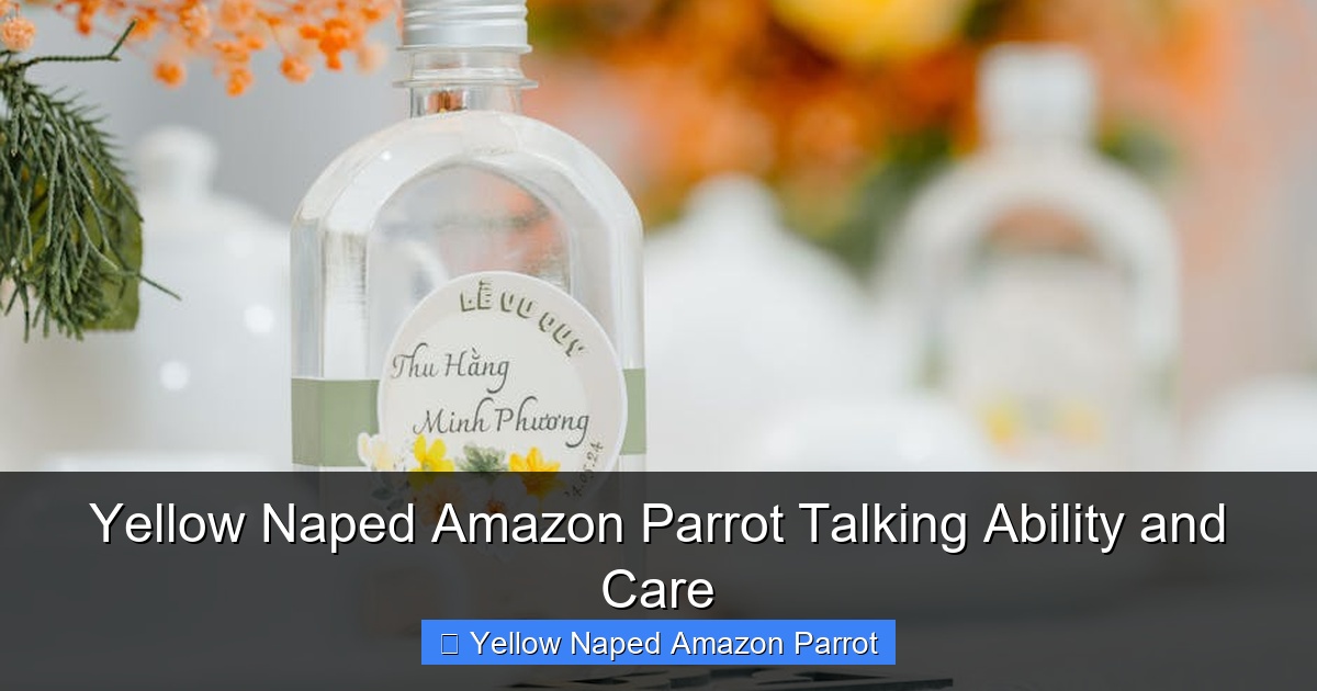 Featured image for Yellow Naped Amazon Parrot Talking Ability and Care