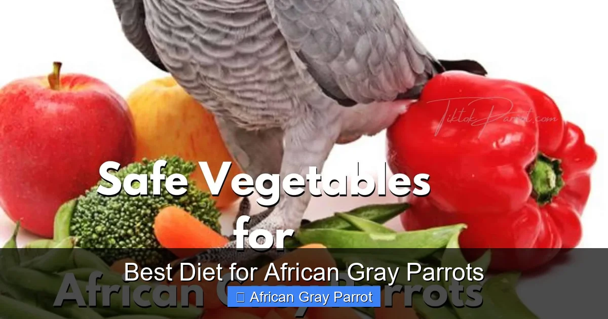 Best Diet for African Gray Parrots