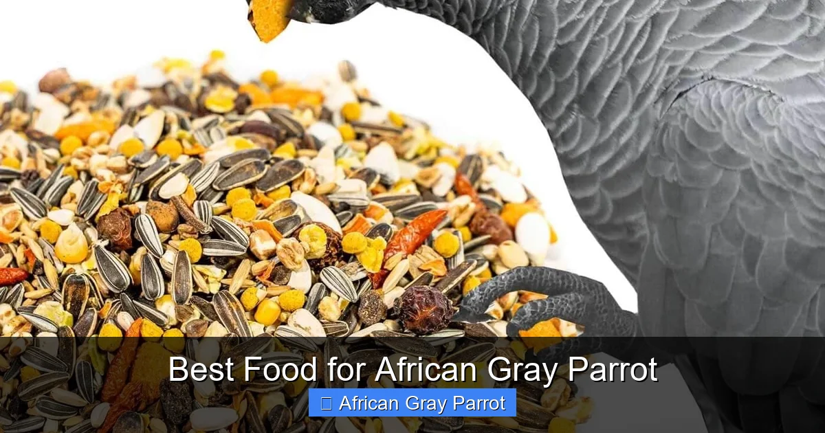 Best Food for African Gray Parrot