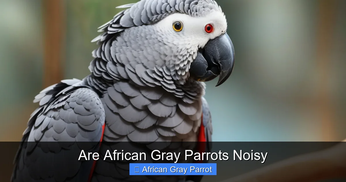 Are African Gray Parrots Noisy