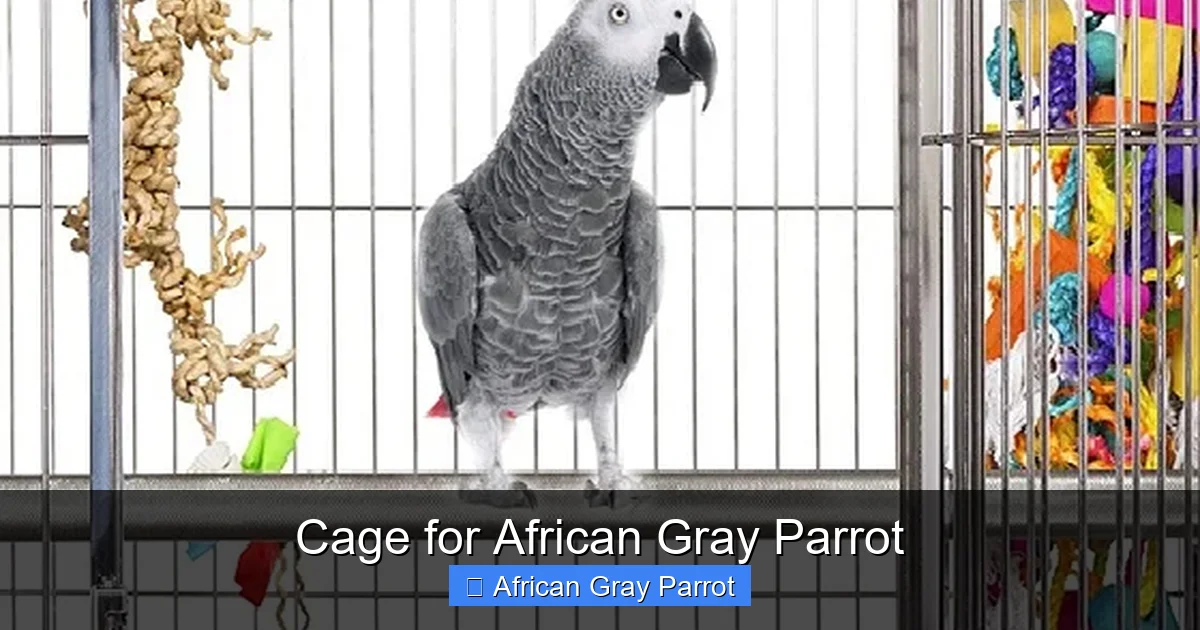 Cage for African Gray Parrot