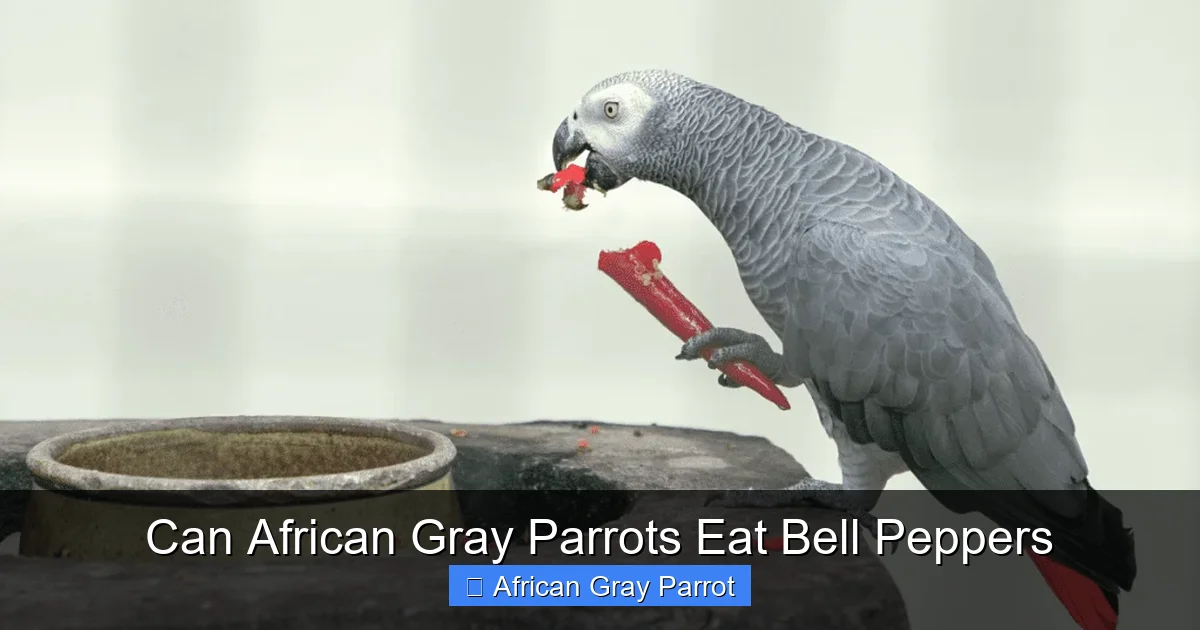 Can African Gray Parrots Eat Bell Peppers