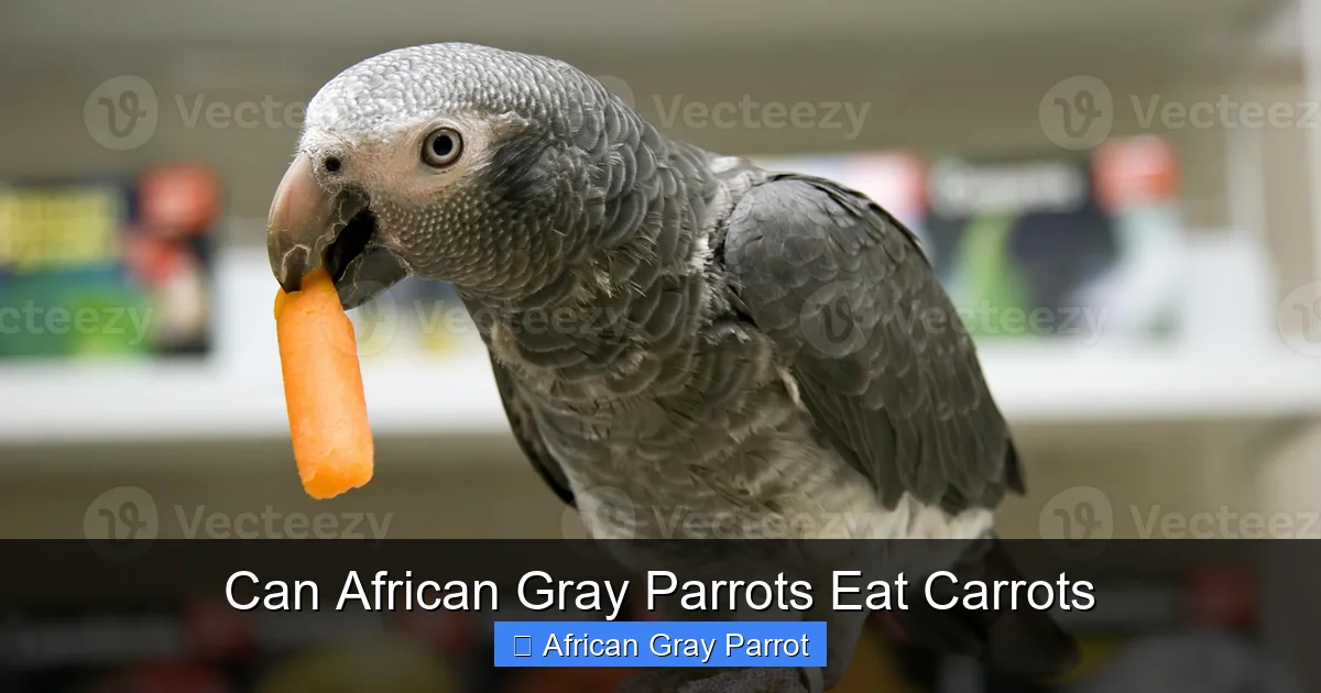 Can African Gray Parrots Eat Carrots