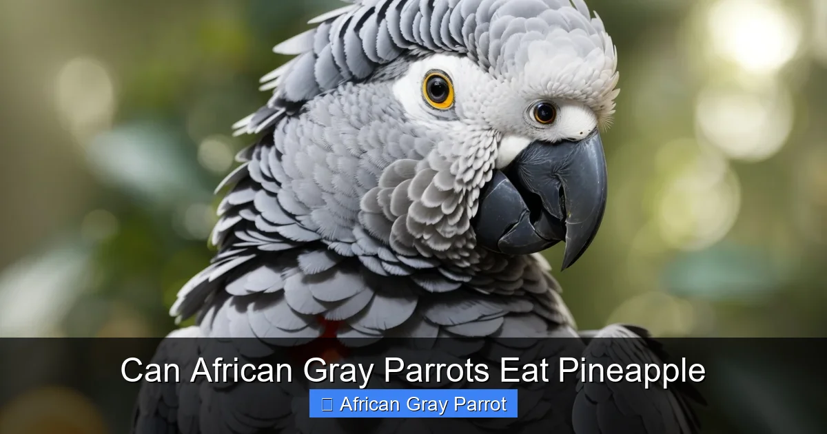 Can African Gray Parrots Eat Pineapple