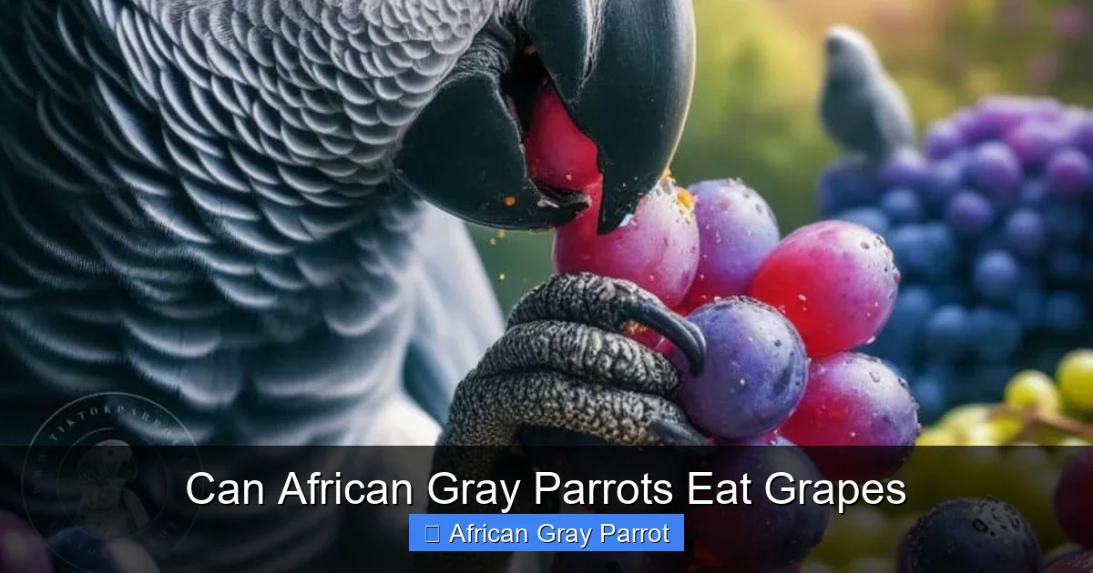Can African Gray Parrots Eat Grapes