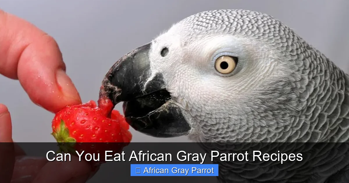 Can You Eat African Gray Parrot Recipes