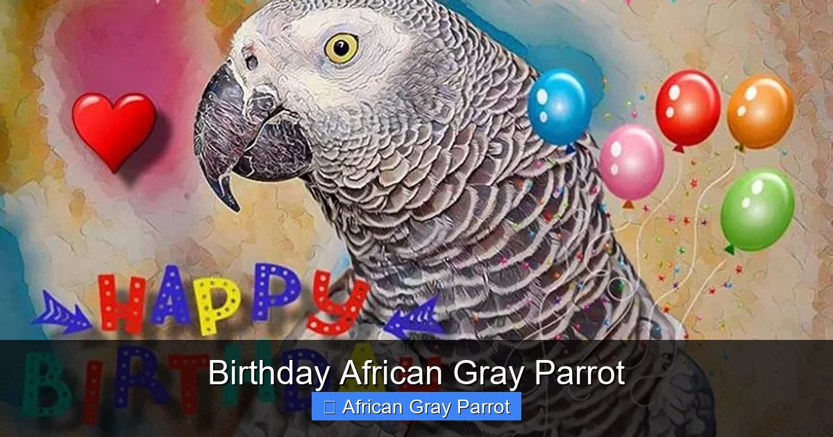 Birthday African Gray Parrot