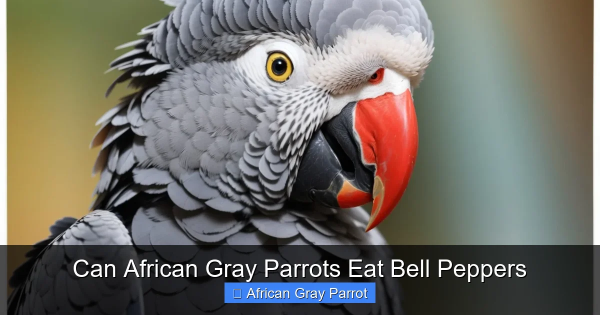 Can African Gray Parrots Eat Bell Peppers