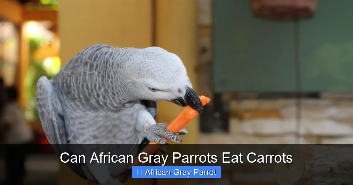 Can African Gray Parrots Eat Carrots