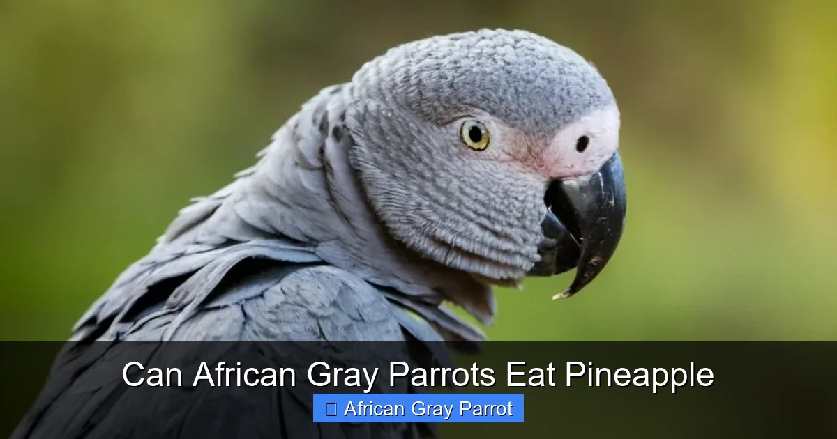 Can African Gray Parrots Eat Pineapple