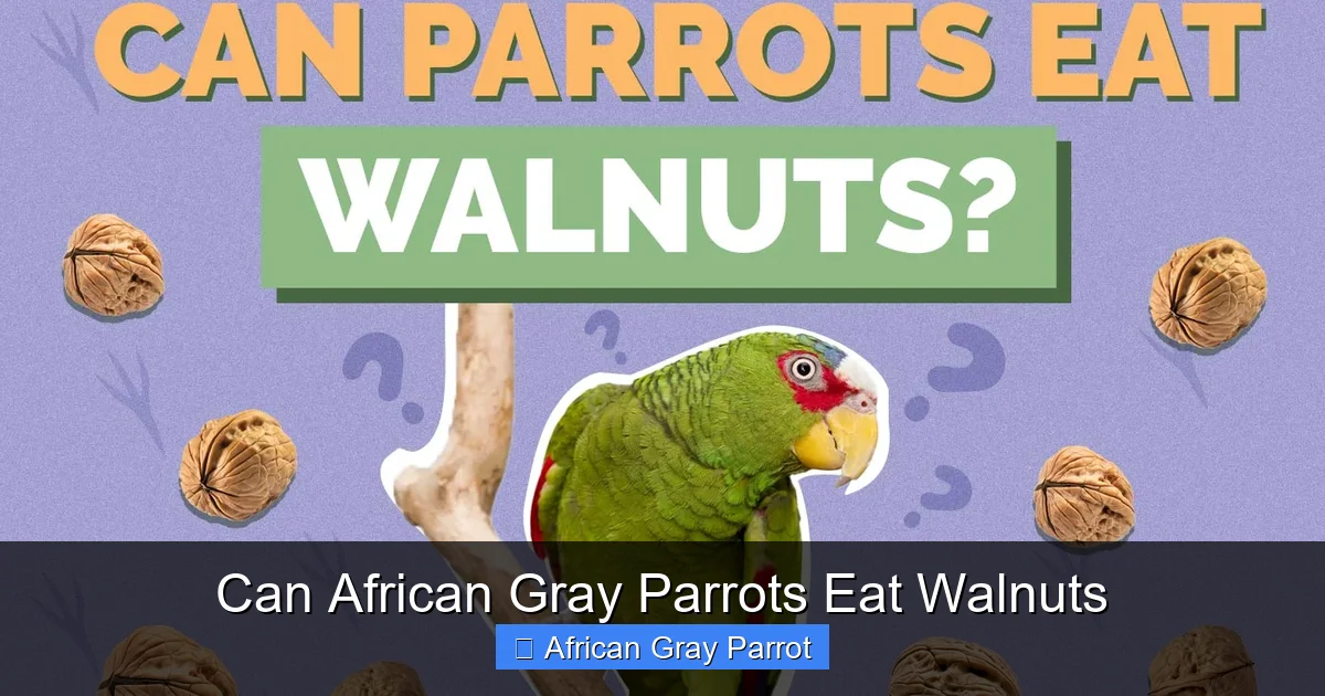 Can African Gray Parrots Eat Walnuts