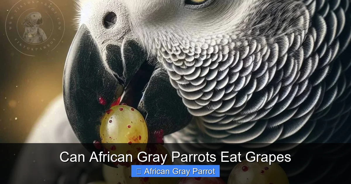 Can African Gray Parrots Eat Grapes