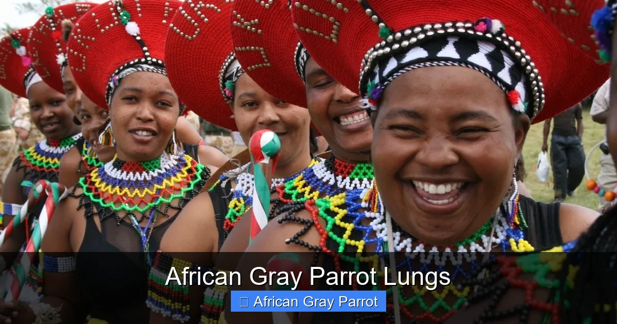 African Gray Parrot Lungs