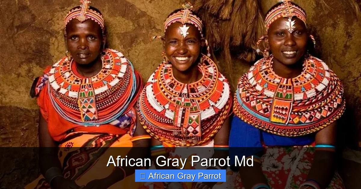 African Gray Parrot Md