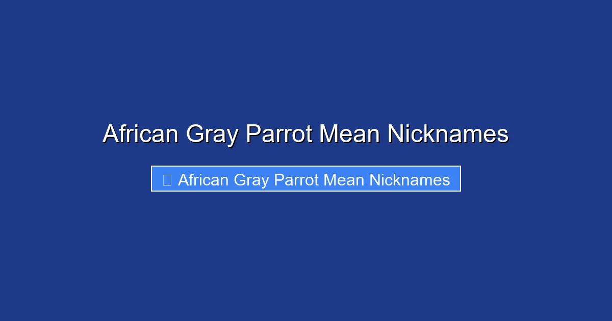 African Gray Parrot Mean Nicknames