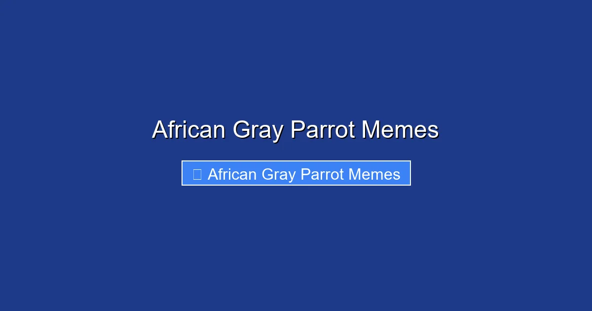 African Gray Parrot Memes