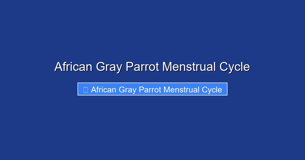 African Gray Parrot Menstrual Cycle